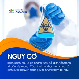 Nguy cơ mắc bạch cầu tăng khi có biến đổi di truyền trong tế bào tủy xương, nhưng nguyên nhân chính xác vẫn chưa được xác định