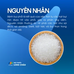 Bệnh bụi phổi 3