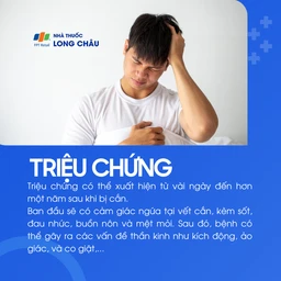 Triệu chứng bệnh dại gồm ngứa vết cắn, sốt, buồn nôn, mệt mỏi, rối loạn thần kinh