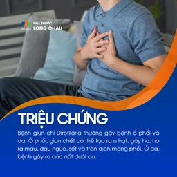 Bệnh Dirofilariasis 2