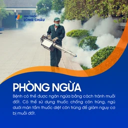 Bệnh Dirofilariasis 7