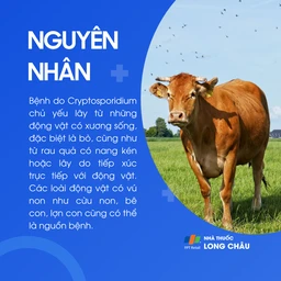 Bệnh do Cryptosporidium 3