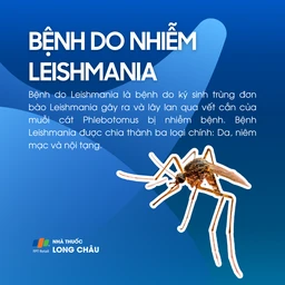 Bệnh do nhiễm Leishmania 1