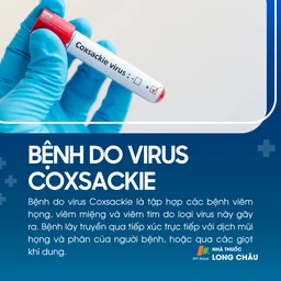 Bệnh do virus Coxsackie 1