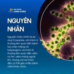 Bệnh do virus Coxsackie 3