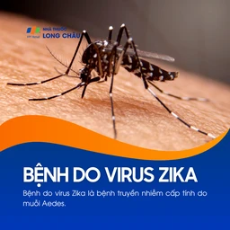 Bệnh do virus Zika 1