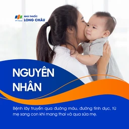 Bệnh do virus Zika  3