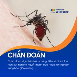 Bệnh do virus Zika  5