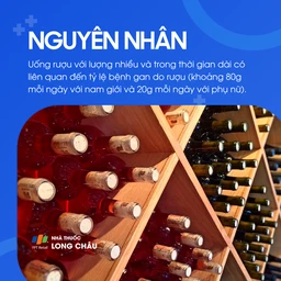 Bệnh gan do rượu 3