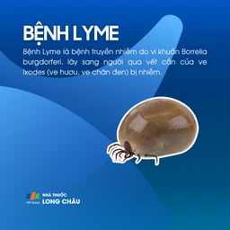 Bệnh Lyme 1