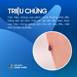 Bệnh Lyme 2