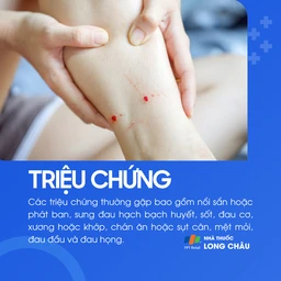 Triệu chứng gồm nổi sẩn hoặc phát ban tại vị trí tổn thương, sưng đau hạch bạch huyết, sốt, đau cơ, đau xương hoặc khớp