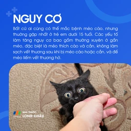 Bất kỳ ai đều có thể mắc, nhưng trẻ dưới 15 tuổi có nguy cơ cao hơn, đặc biệt nếu thường xuyên chơi với mèo mà không xử lý kỹ vết thương