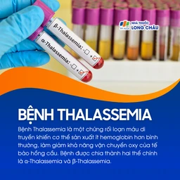 Bệnh Thalassemia 1