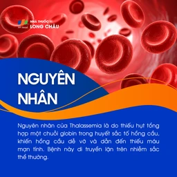 Bệnh Thalassemia 3