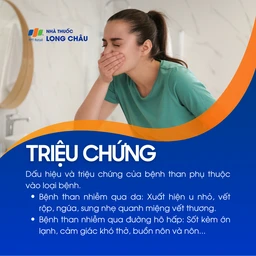 Triệu chứng bệnh than thay đổi tùy theo đường lây nhiễm: nếu nhiễm qua da, người bệnh có thể bị u nhỏ, vết rộp, ngứa và sưng quanh miệng vết thương