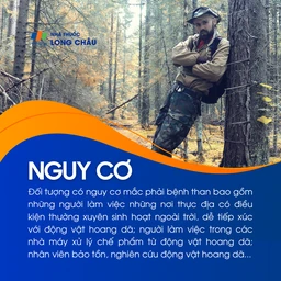Nguy cơ mắc bệnh cao ở những người thường xuyên sinh hoạt ngoài trời, làm việc tại vùng thực địa, tiếp xúc với động vật hoang dã