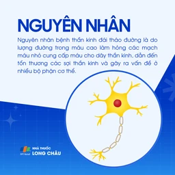 Bệnh thần kinh đái tháo đường 3
