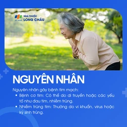 Nguyên nhân gây bệnh tim có thể do bệnh cơ tim (yếu tố di truyền, đau tim, nhiễm trùng) hoặc nhiễm trùng tim do vi khuẩn, virus