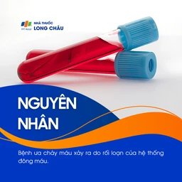 Bệnh ưa chảy máu 3