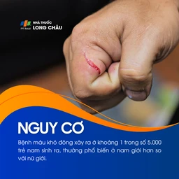 Bệnh ưa chảy máu 4