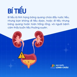 Bí tiểu: Là tình trạng bàng quang chứa đầy nước tiểu nhưng không đi tiểu được, hoặc đi tiểu xong vẫn còn tồn đọng nước tiểu