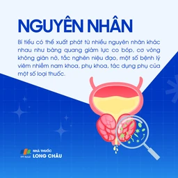 Nguyên nhân: Có thể do giảm lực co bóp bàng quang, cơ vòng không giãn, tắc nghẽn niệu đạo, bệnh lý viêm nhiễm nam – phụ khoa