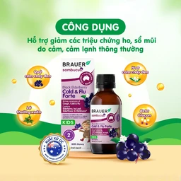 Siro hỗ trợ giảm các triệu chứng ho sổ mũi do cảm Black ElderBerry Cold And Flu Forte (100ml)