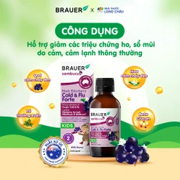 Siro hỗ trợ giảm các triệu chứng ho sổ mũi do cảm Black ElderBerry Cold And Flu Forte (100ml) 2