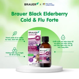 Siro hỗ trợ giảm các triệu chứng ho sổ mũi do cảm Black ElderBerry Cold And Flu Forte (100ml) 4