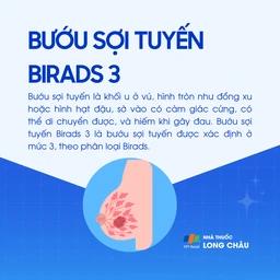 Bướu sợi tuyến vú Birads 3 1