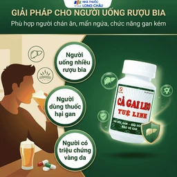 Viên tăng cường chức năng giải độc của gan Cà Gai Leo Tuệ Linh (60 viên) 4