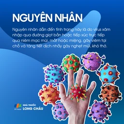 Chứng tạo đờm do virus 3