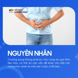 Không chỉ do tiêu hoá mà còn do đầy hơi, mang thai, táo bón, béo phì,…