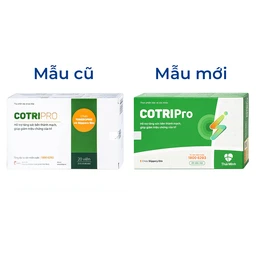 Viên uống bền thành mạch giảm trĩ Cotripro Thái Minh (2 vỉ x 10 viên)