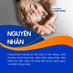 Cứng khớp do thoái hóa, viêm khớp, chấn thương hoặc bệnh tự miễn