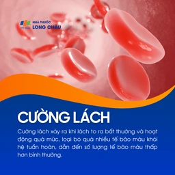 Cường lách 1