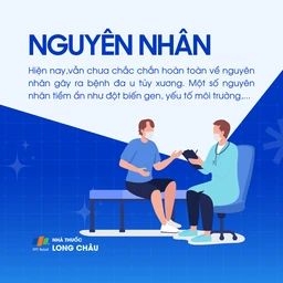 Đa u tủy xương 3