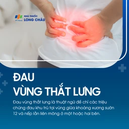 Đau vùng thắt lưng 1