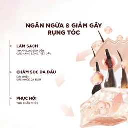 Dầu xả L'oreal full resist purifying giảm gãy rụng tóc giúp tóc chắc khỏe (440ml) 4