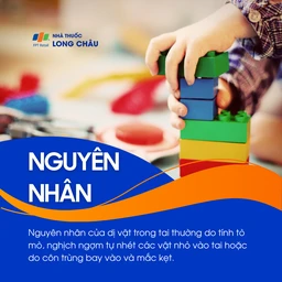 Dị vật trong tai 3