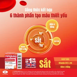 Viên uống hỗ trợ tăng khả năng tạo máu Vitabiotics Feroglobin B12 (30 viên)