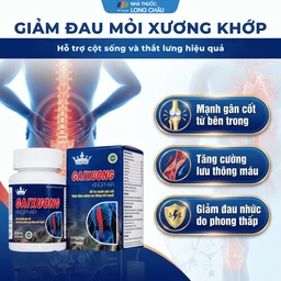 Viên uống giúp hoạt huyết, hỗ trợ gân cốt, hạn chế thoái hóa xương khớp Gai Xương Kingphar (60 viên) 4