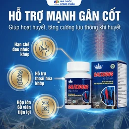 Viên uống giúp hoạt huyết, hỗ trợ gân cốt, hạn chế thoái hóa xương khớp Gai Xương Kingphar (60 viên) 2