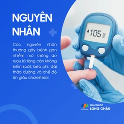Gan nhiễm mỡ không do rượu 3