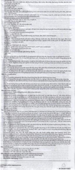 Thuốc Gaptinew 300mg Agimexpharm điều trị động kinh và đau thần kinh ngoại biên (10 vỉ x 10 viên)