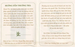 Trà Thảo Dược Giảo Cổ Lam Kami Tea (20 túi lọc x 2g)