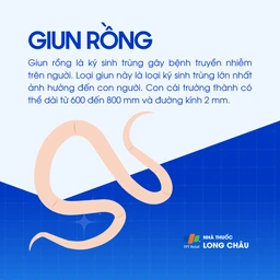 Giun rồng 1