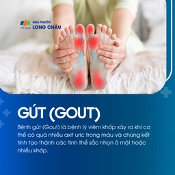 Gout 1