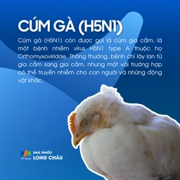 H5N1 1